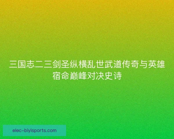 三国志二三剑圣纵横乱世武道传奇与英雄宿命巅峰对决史诗 三国志二三剑圣纵横乱世武道传奇与英雄宿命巅峰对决史诗